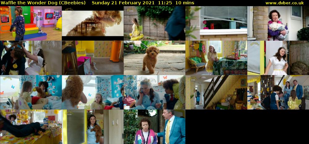 Waffle the Wonder Dog (CBeebies) Sunday 21 February 2021 11:25 - 11:35