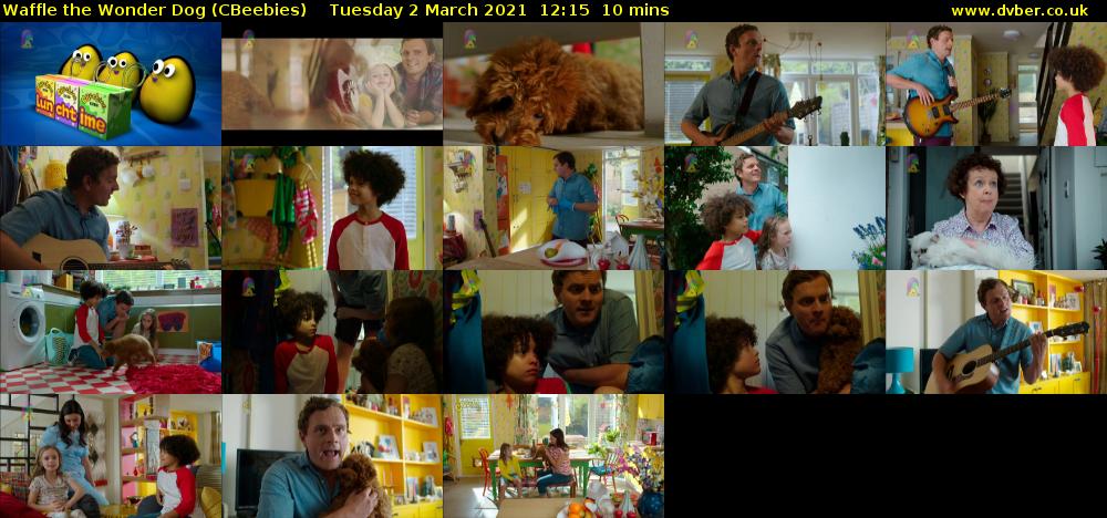 Waffle the Wonder Dog (CBeebies) Tuesday 2 March 2021 12:15 - 12:25