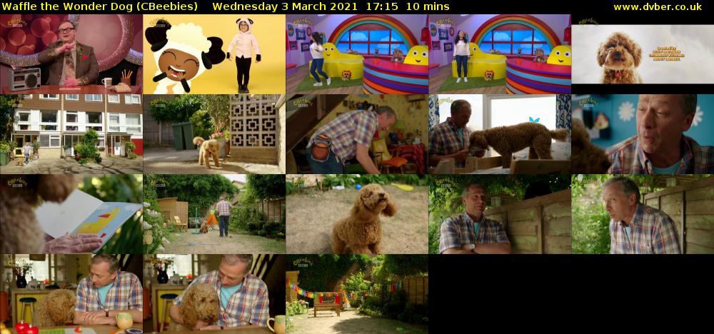 Waffle the Wonder Dog (CBeebies) Wednesday 3 March 2021 17:15 - 17:25