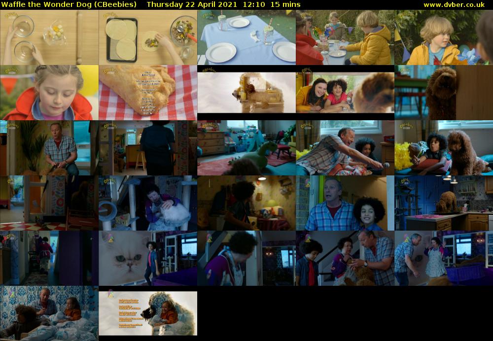 Waffle the Wonder Dog (CBeebies) 202104221210