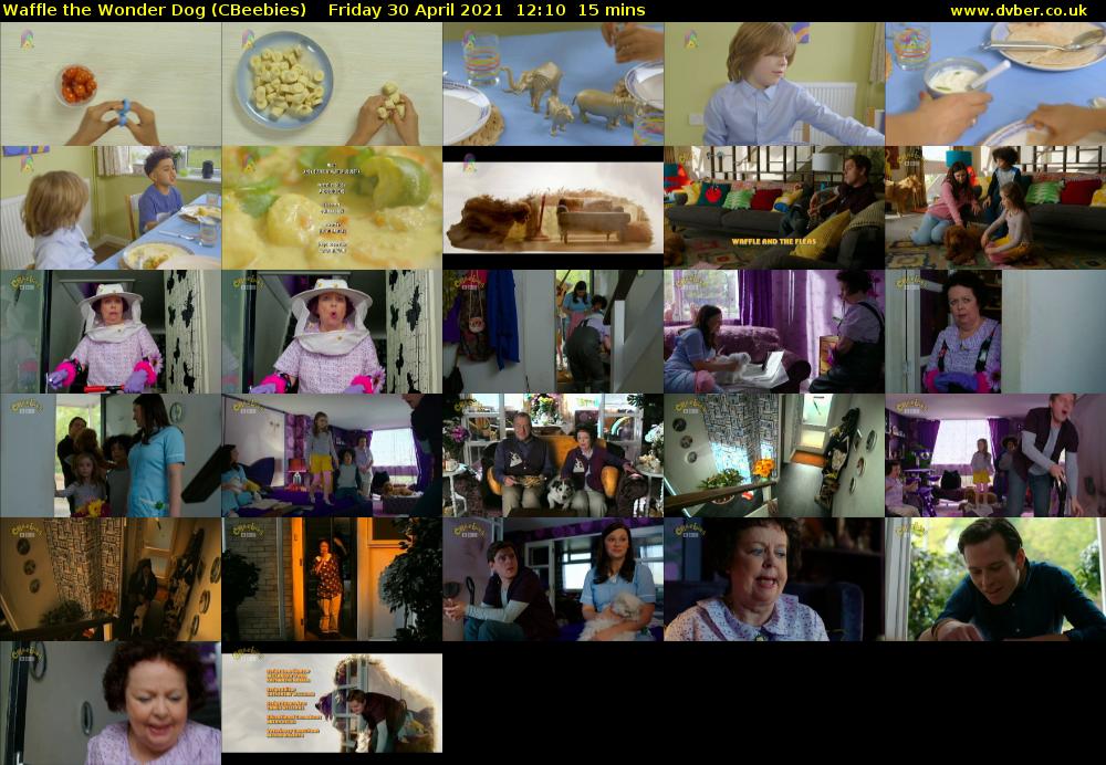 Waffle the Wonder Dog (CBeebies) 202104301210