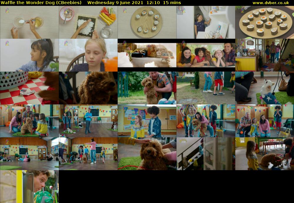 Waffle the Wonder Dog (CBeebies) 202106091210