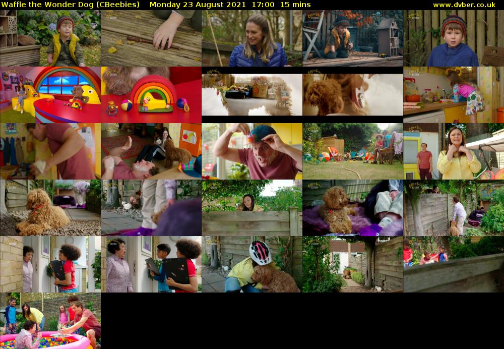 Waffle the Wonder Dog (CBeebies) 202108231700
