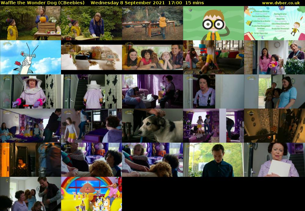 Waffle the Wonder Dog (CBeebies) 202109081700
