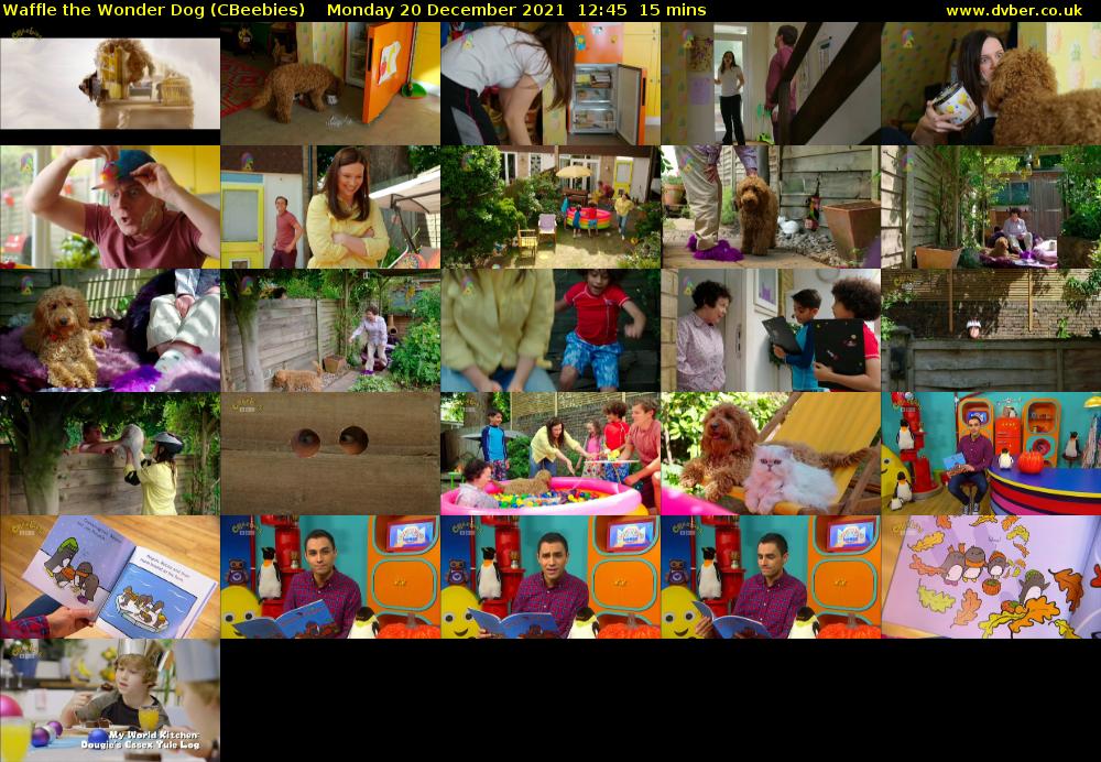 Waffle the Wonder Dog (CBeebies) 202112201245
