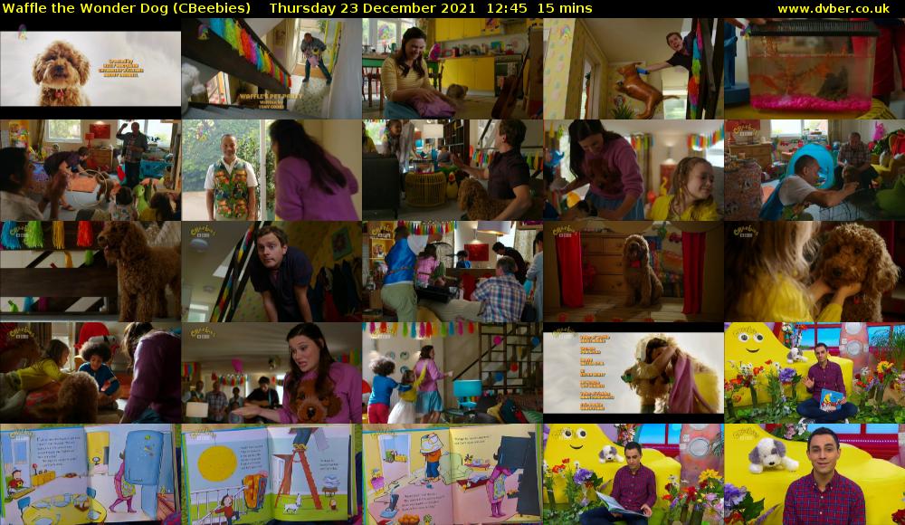 Waffle the Wonder Dog (CBeebies) 202112231245