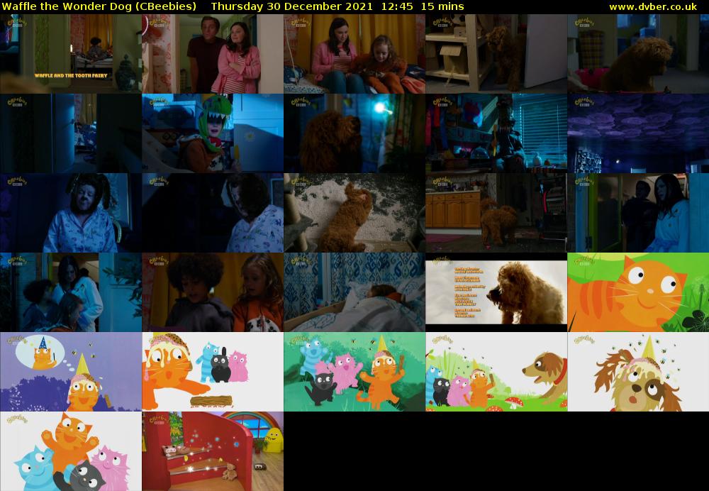 Waffle the Wonder Dog (CBeebies) 202112301245