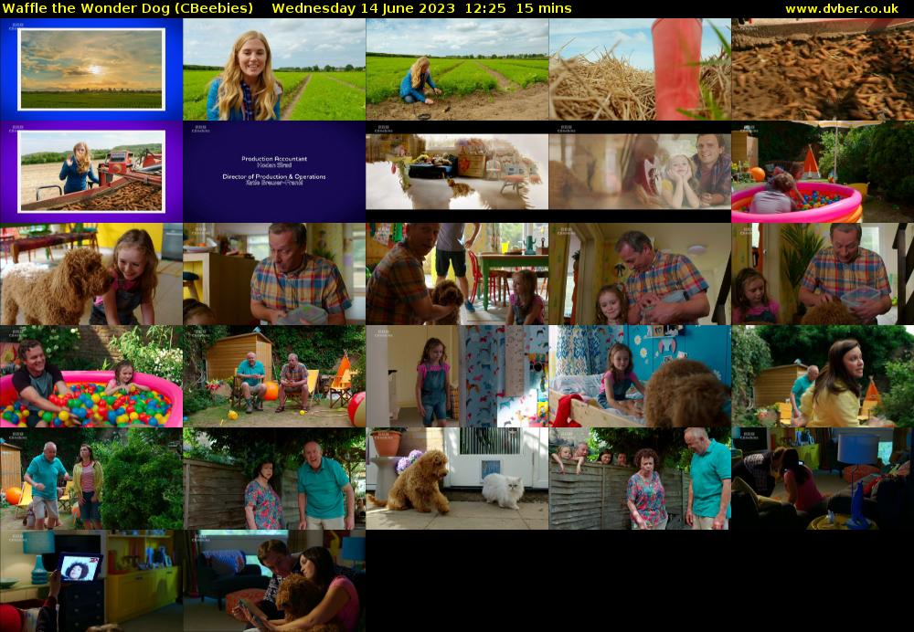 Waffle the Wonder Dog (CBeebies) 202306141225