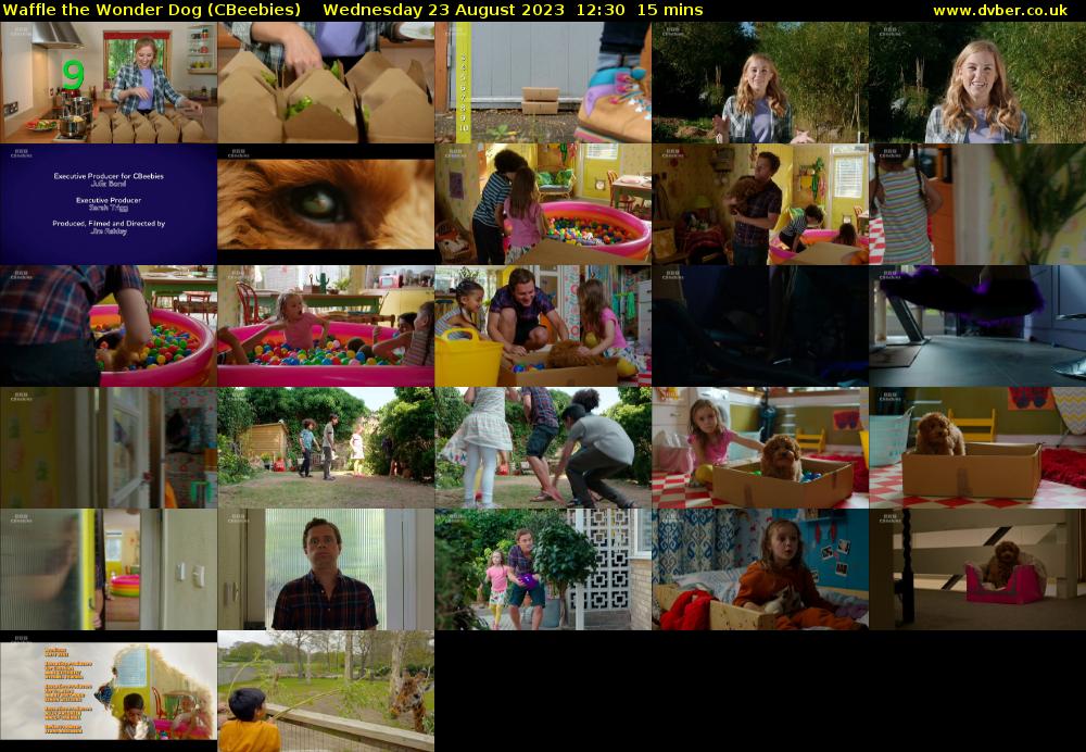 Waffle the Wonder Dog (CBeebies) 202308231230