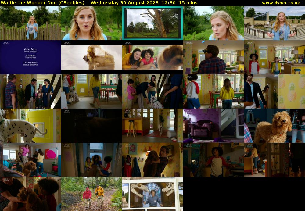 Waffle the Wonder Dog (CBeebies) 202308301230