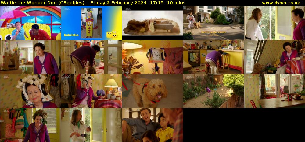 Waffle the Wonder Dog (CBeebies) Friday 2 February 2024 17:15 - 17:25