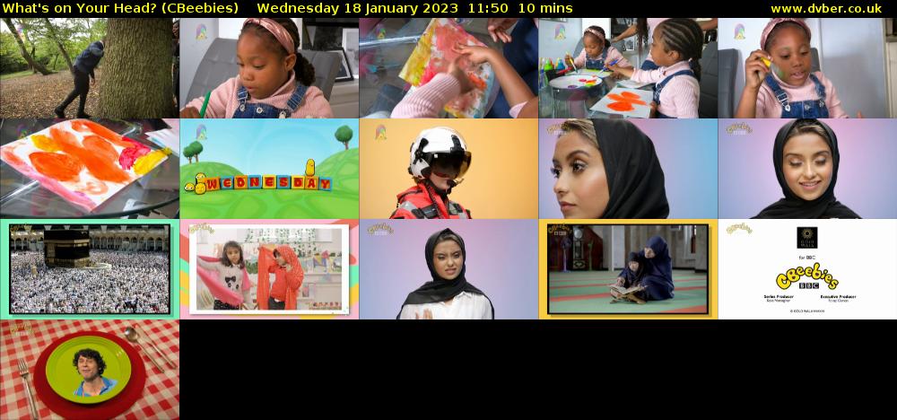 What's on Your Head? (CBeebies) Wednesday 18 January 2023 11:50 - 12:00
