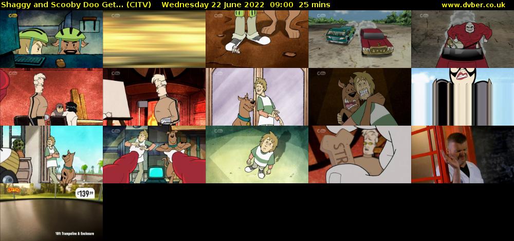 Shaggy and Scooby Doo Get... (CITV) Wednesday 22 June 2022 09:00 - 09:25