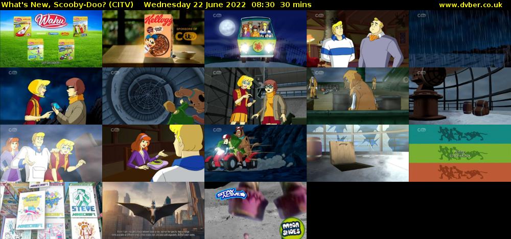 What's New, Scooby-Doo? (CITV) Wednesday 22 June 2022 08:30 - 09:00
