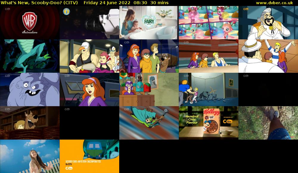 What's New, Scooby-Doo? (CITV) Friday 24 June 2022 08:30 - 09:00
