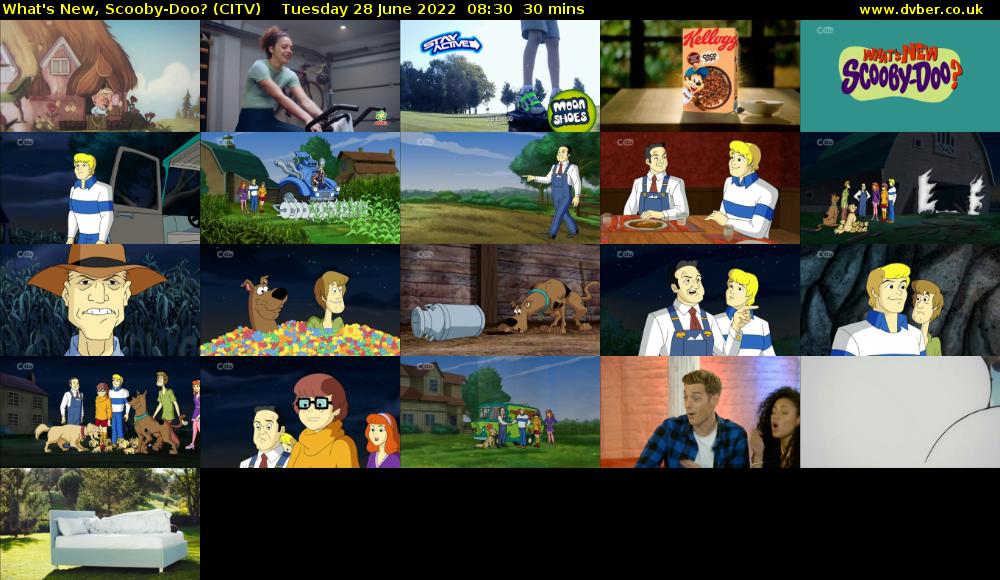 What's New, Scooby-Doo? (CITV) Tuesday 28 June 2022 08:30 - 09:00
