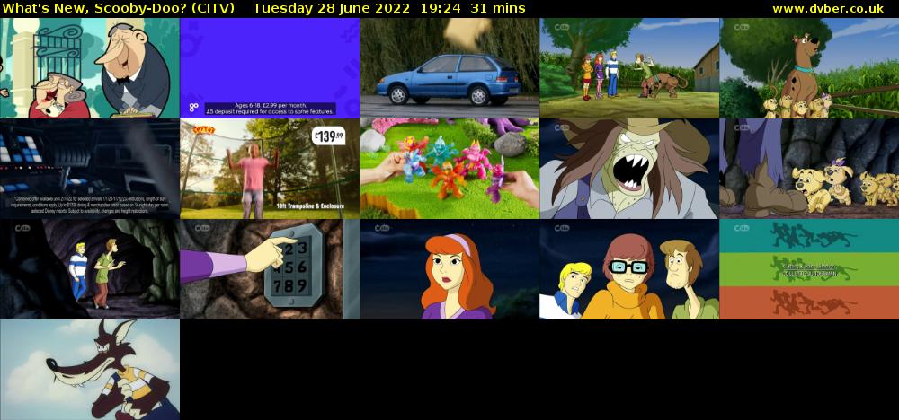 What's New, Scooby-Doo? (CITV) Tuesday 28 June 2022 19:24 - 19:55