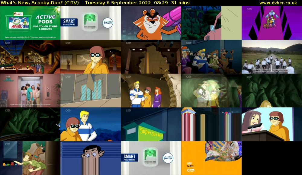 What's New, Scooby-Doo? (CITV) Tuesday 6 September 2022 08:29 - 09:00