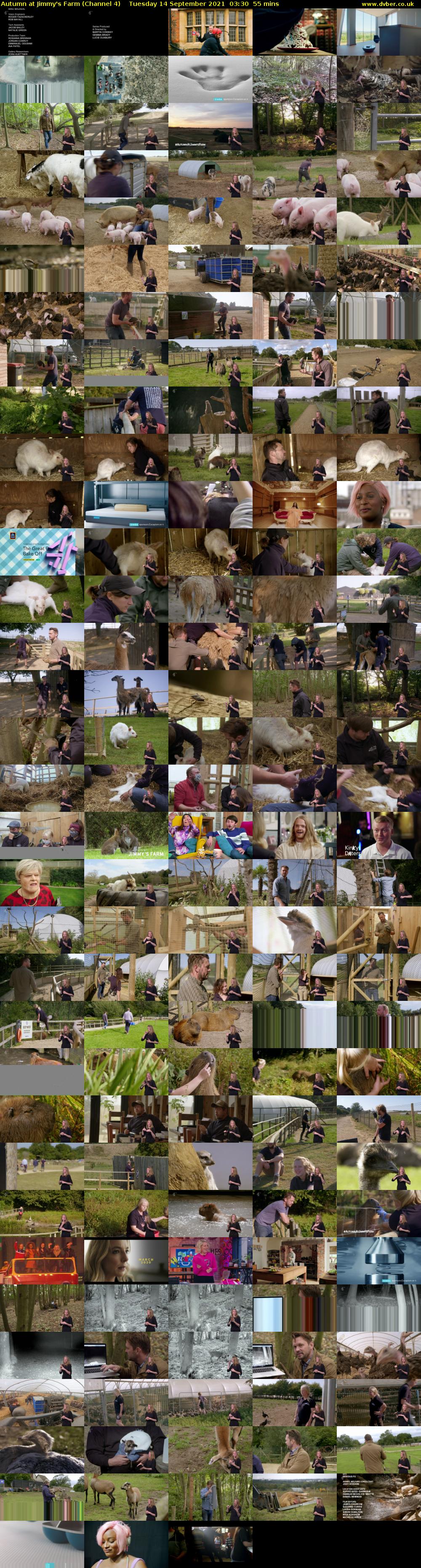 Autumn at Jimmy's Farm (Channel 4) Tuesday 14 September 2021 03:30 - 04:25