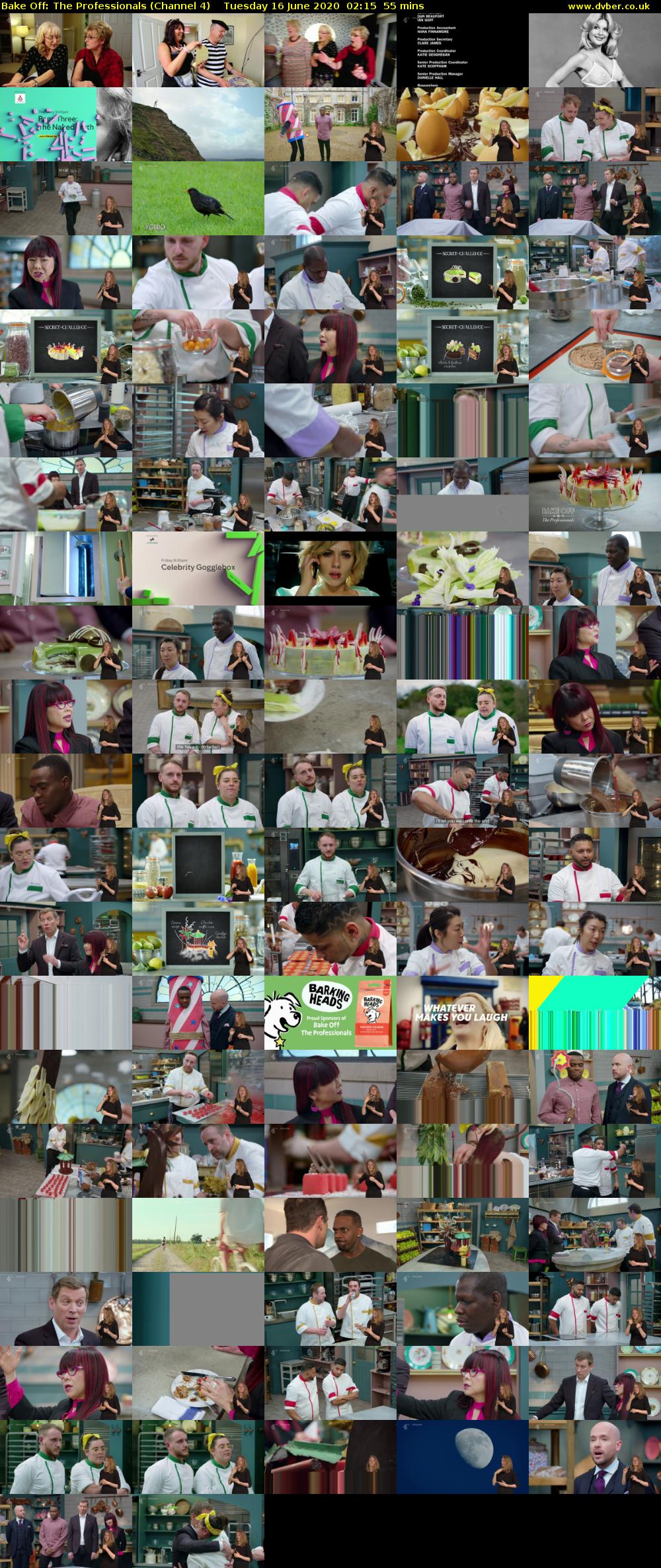Bake Off: The Professionals (Channel 4) Tuesday 16 June 2020 02:15 - 03:10