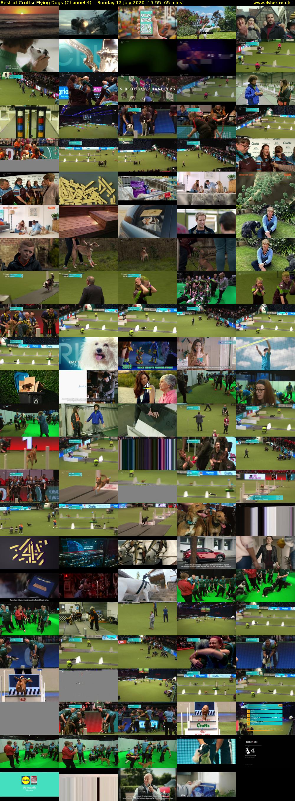 Best of Crufts: Flying Dogs (Channel 4) Sunday 12 July 2020 15:55 - 17:00