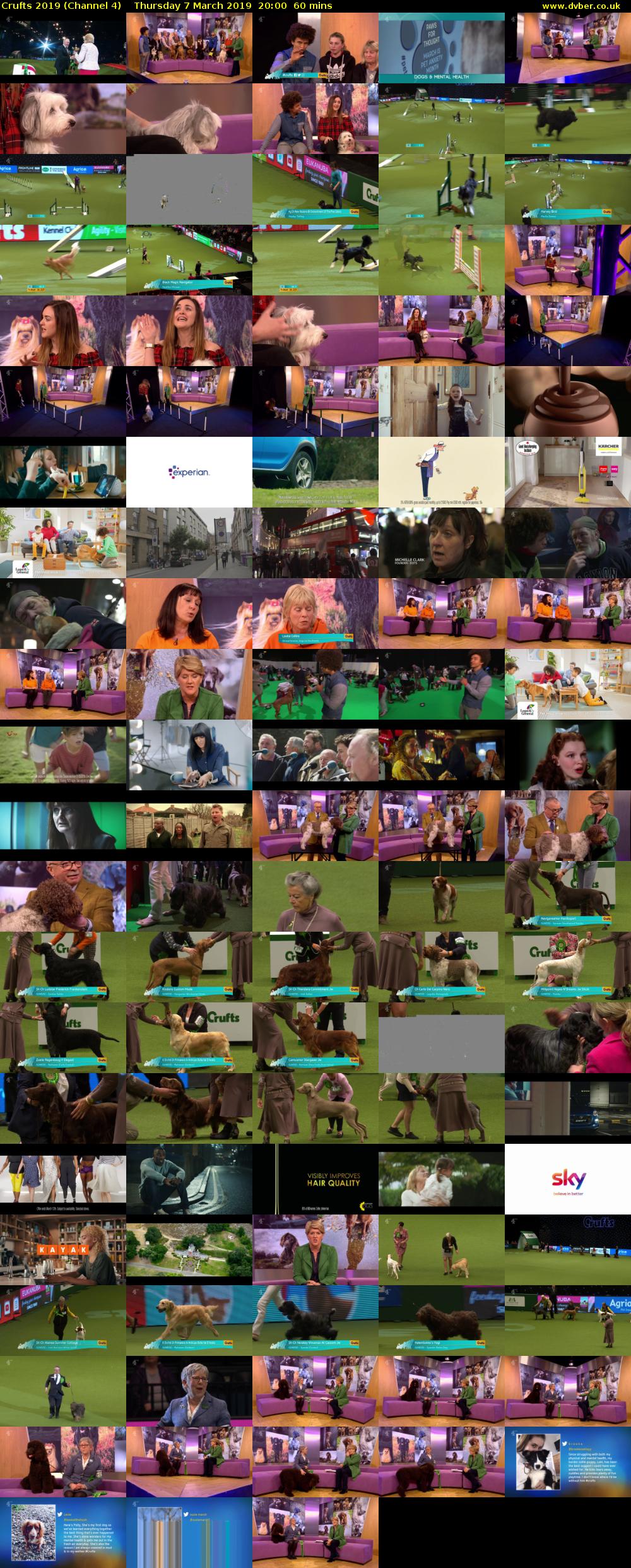 Crufts 2019 (Channel 4) Thursday 7 March 2019 20:00 - 21:00
