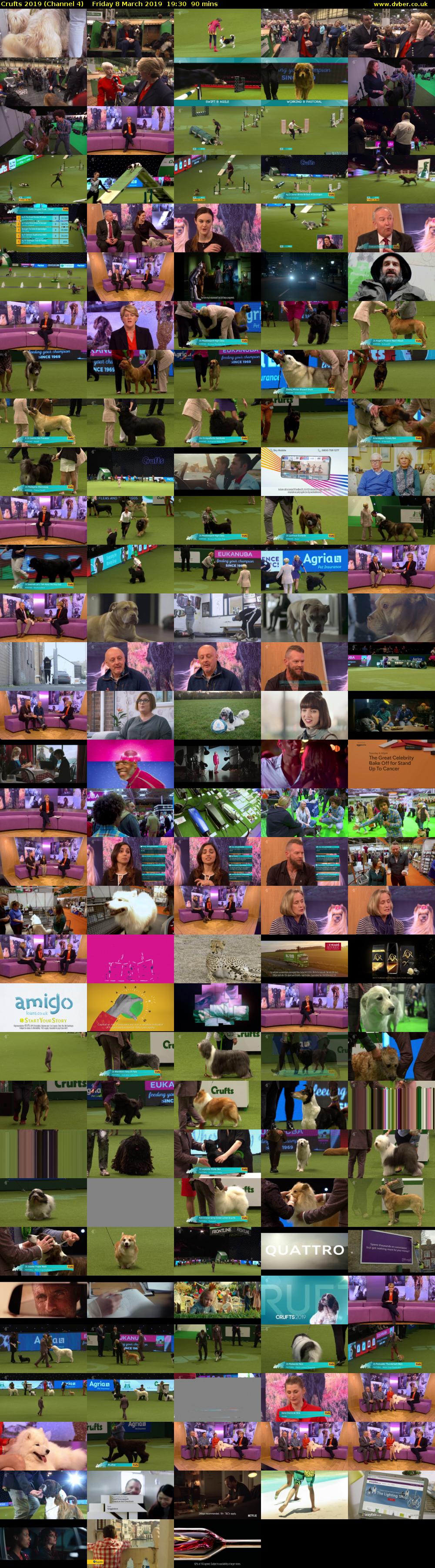 Crufts 2019 (Channel 4) Friday 8 March 2019 19:30 - 21:00