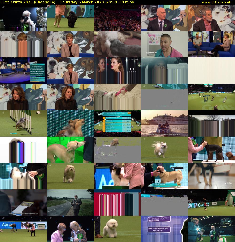 Live: Crufts 2020 (Channel 4) Thursday 5 March 2020 20:00 - 21:00