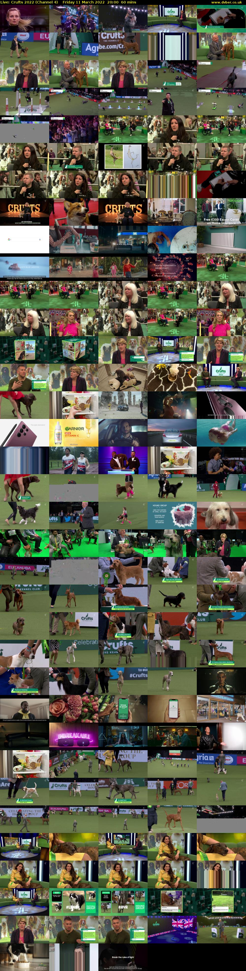 Live: Crufts 2022 (Channel 4) Friday 11 March 2022 20:00 - 21:00