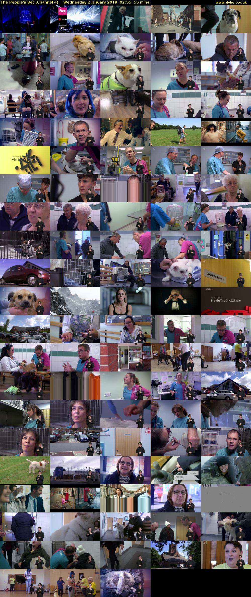 The People's Vet (Channel 4) Wednesday 2 January 2019 02:55 - 03:50