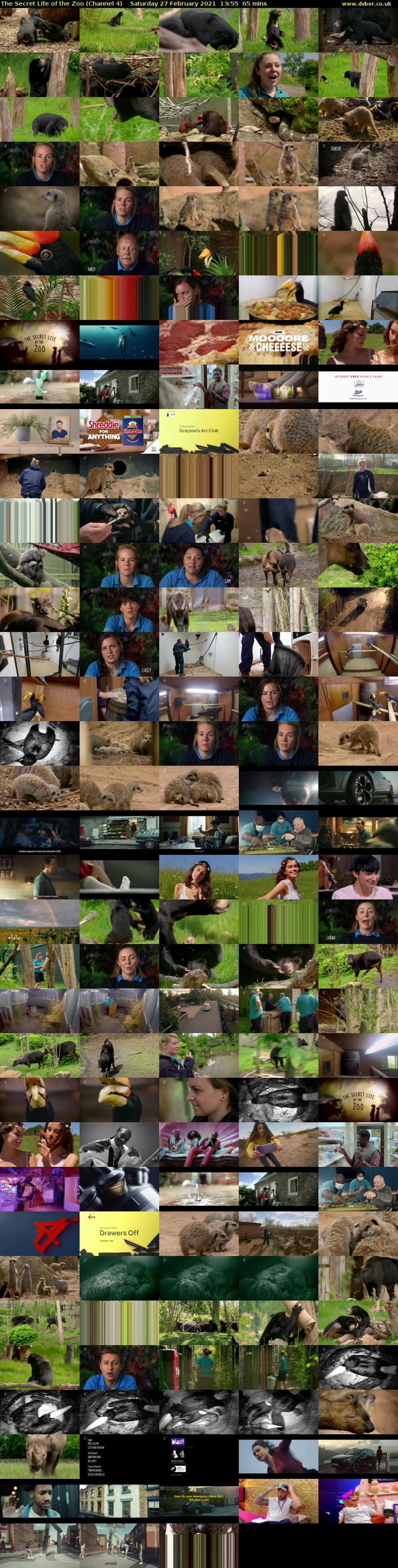 The Secret Life of the Zoo (Channel 4) Saturday 27 February 2021 13:55 - 15:00