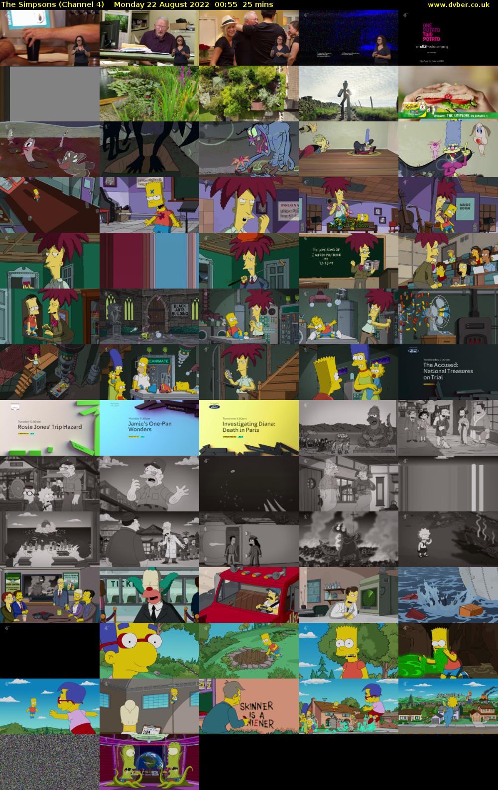 The Simpsons (Channel 4) Monday 22 August 2022 00:55 - 01:20