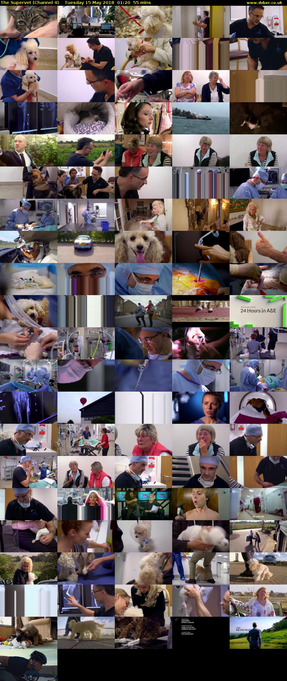The Supervet (Channel 4) Tuesday 15 May 2018 01:20 - 02:15