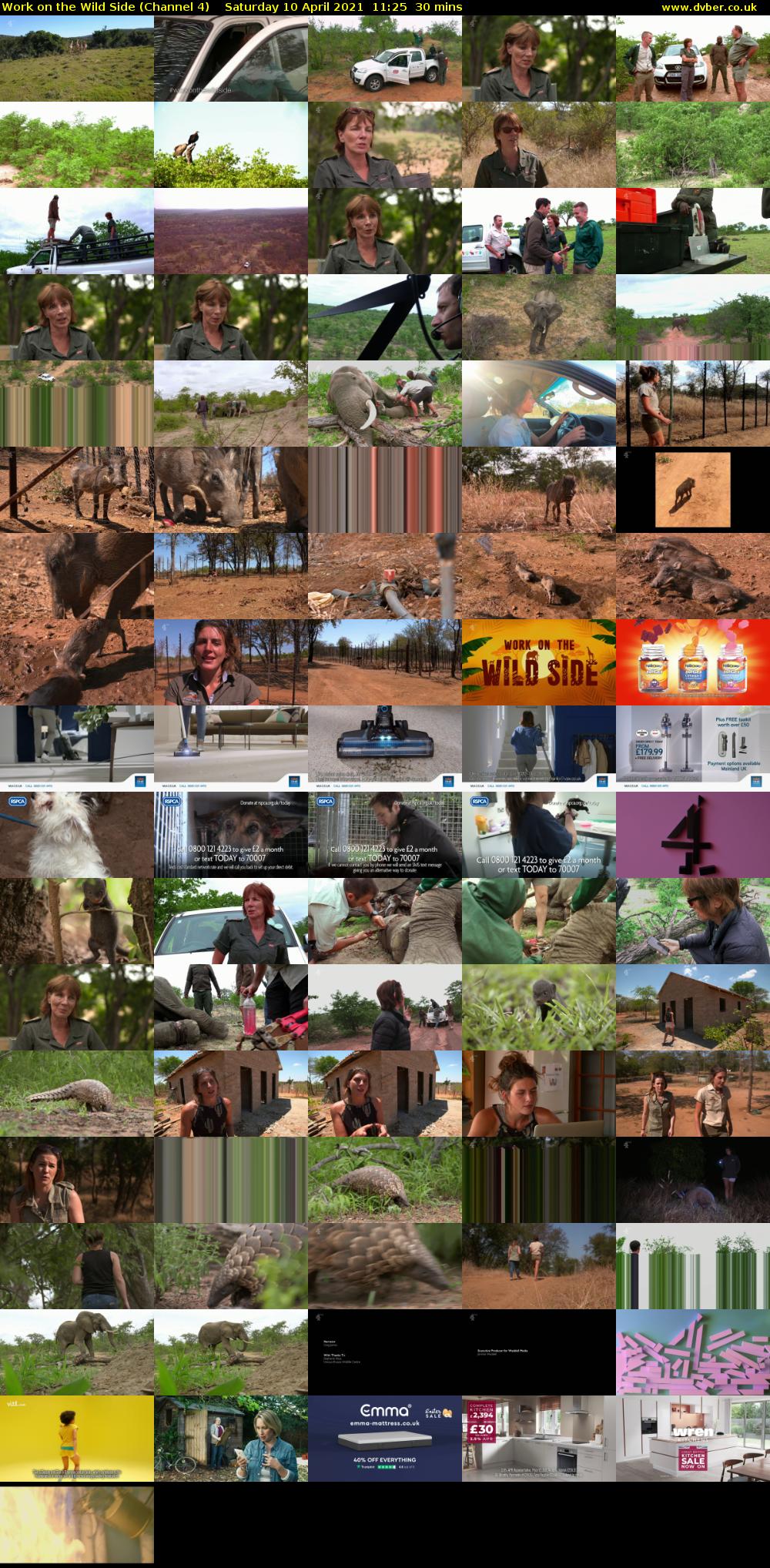 Work on the Wild Side (Channel 4) Saturday 10 April 2021 11:25 - 11:55