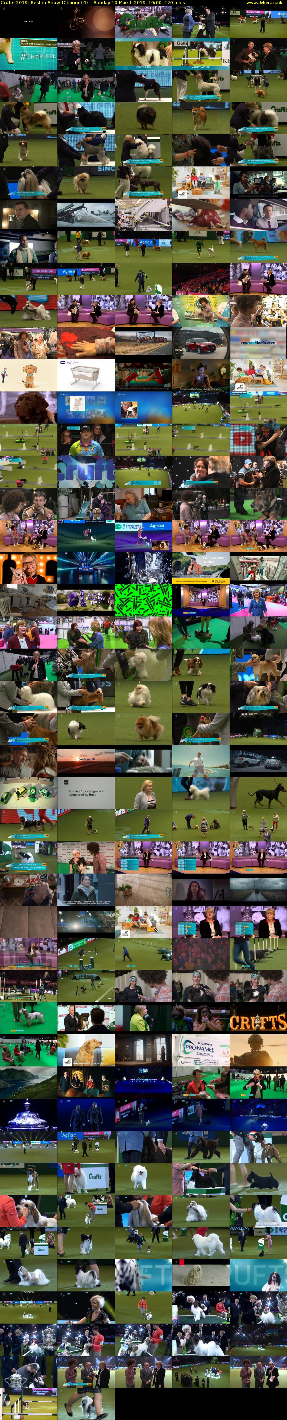 Crufts 2019: Best in Show (Channel 4) Sunday 10 March 2019 19:00 - 21:00