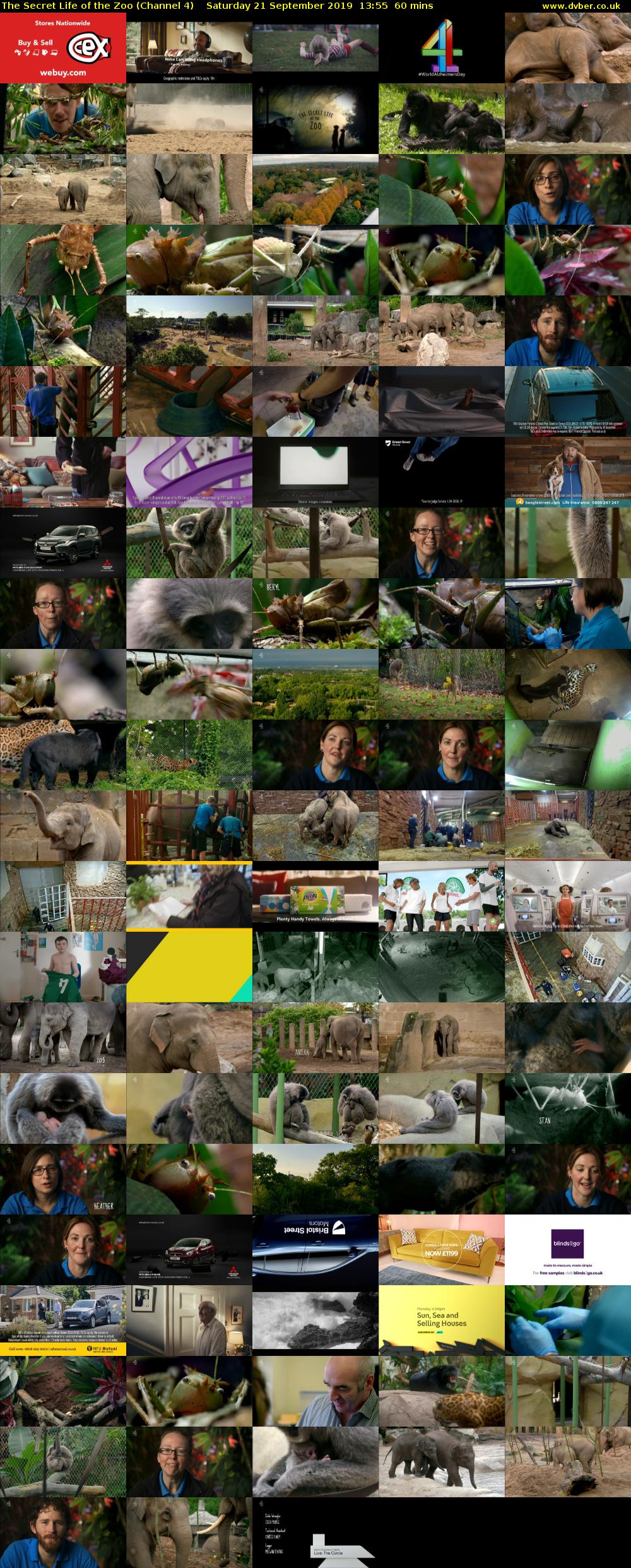 The Secret Life of the Zoo (Channel 4) Saturday 21 September 2019 13:55 - 14:55