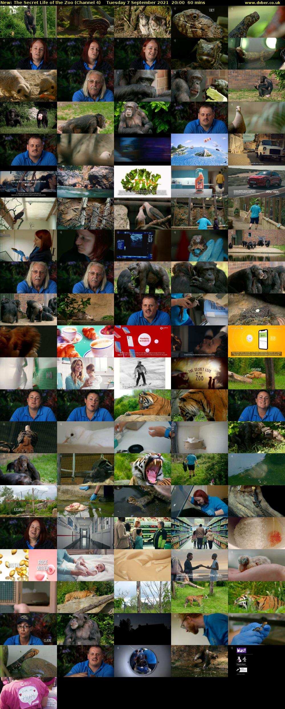 The Secret Life of the Zoo (Channel 4) Tuesday 7 September 2021 20:00 - 21:00