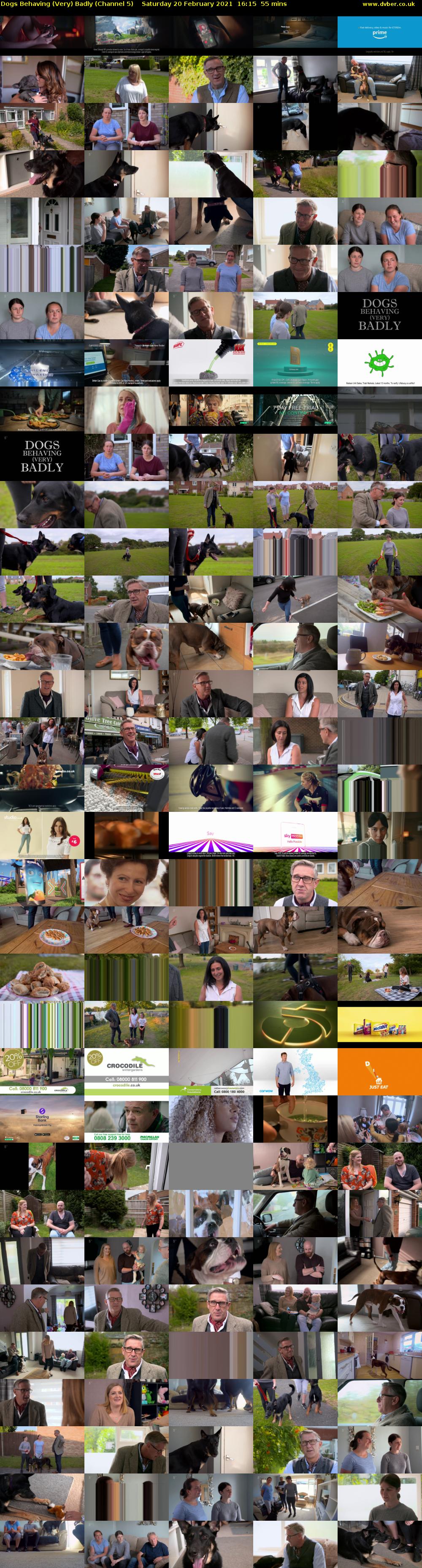 Dogs Behaving (Very) Badly (Channel 5) Saturday 20 February 2021 16:15 - 17:10