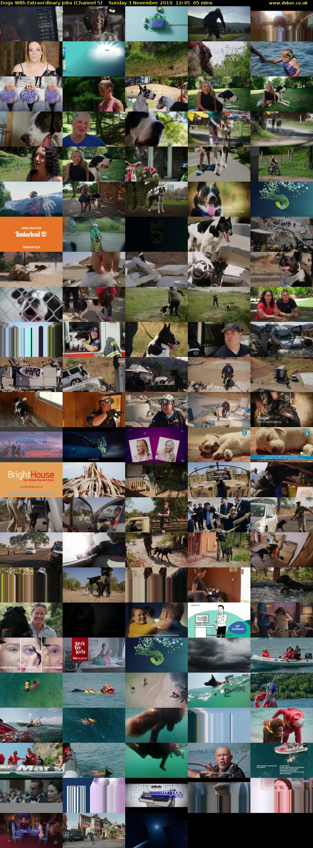 Dogs With Extraordinary Jobs (Channel 5) Sunday 3 November 2019 12:45 - 13:50