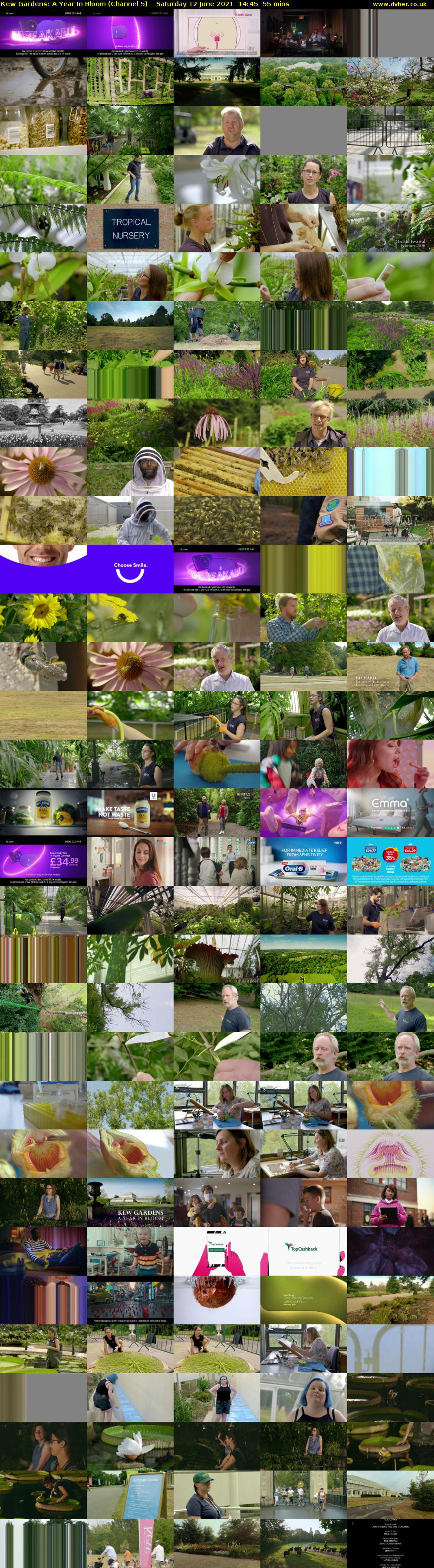 Kew Gardens: A Year In Bloom (Channel 5) Saturday 12 June 2021 14:45 - 15:40