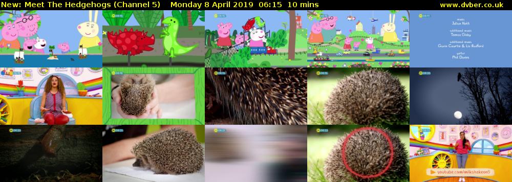 Meet The Hedgehogs (Channel 5) Monday 8 April 2019 06:15 - 06:25
