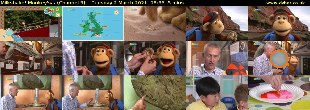 Milkshake! Monkey's... (Channel 5) Tuesday 2 March 2021 08:55 - 09:00