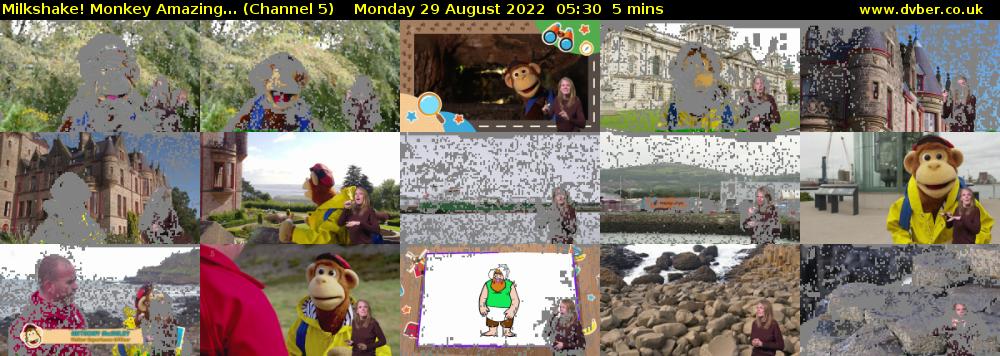 Milkshake! Monkey Amazing... (Channel 5) Monday 29 August 2022 05:30 - 05:35