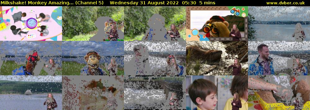 Milkshake! Monkey Amazing... (Channel 5) Wednesday 31 August 2022 05:30 - 05:35
