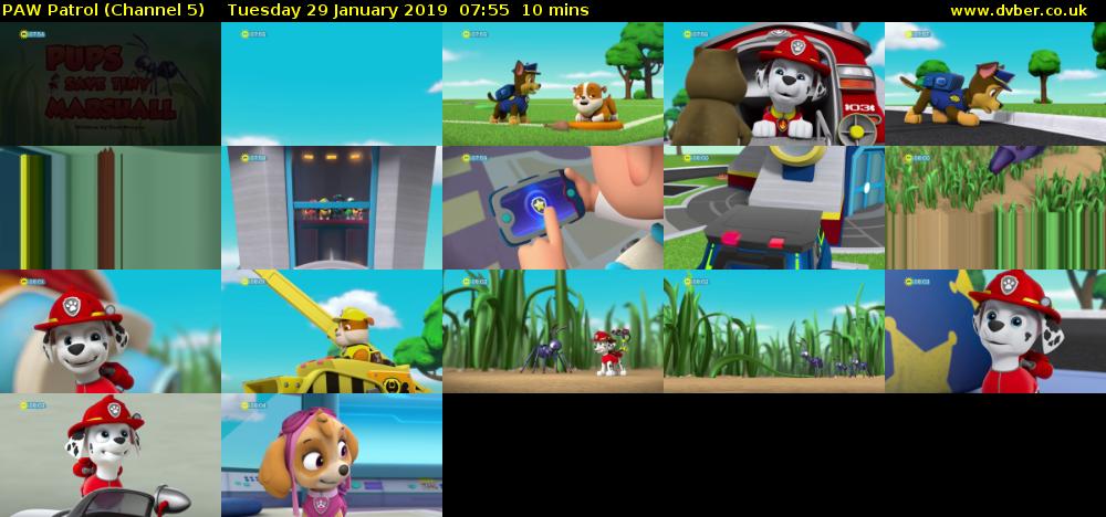 PAW Patrol (Channel 5) Tuesday 29 January 2019 07:55 - 08:05
