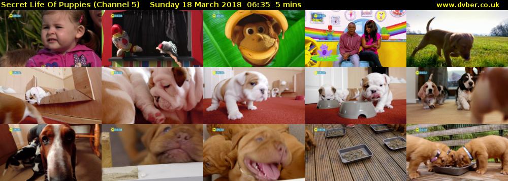 Secret Life Of Puppies (Channel 5) Sunday 18 March 2018 06:35 - 06:40