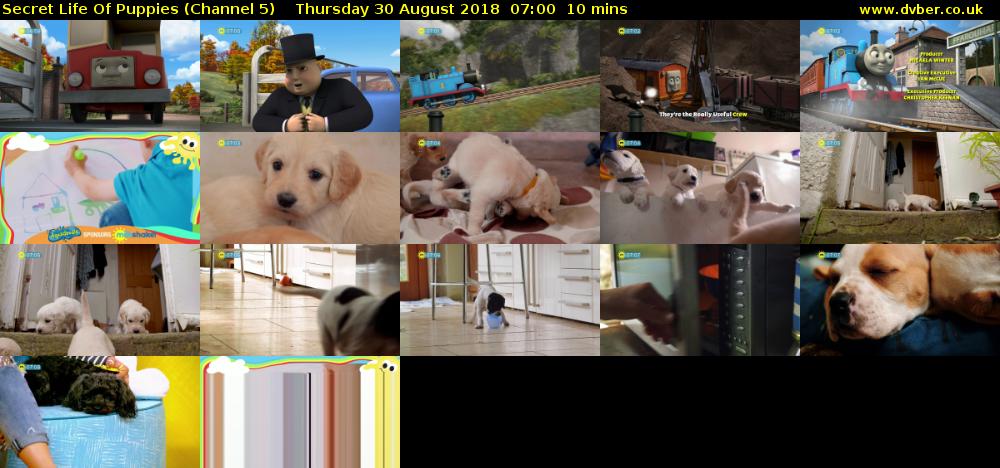 Secret Life Of Puppies (Channel 5) Thursday 30 August 2018 07:00 - 07:10