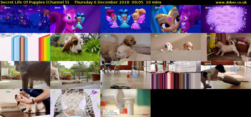 Secret Life Of Puppies (Channel 5) Thursday 6 December 2018 09:05 - 09:15