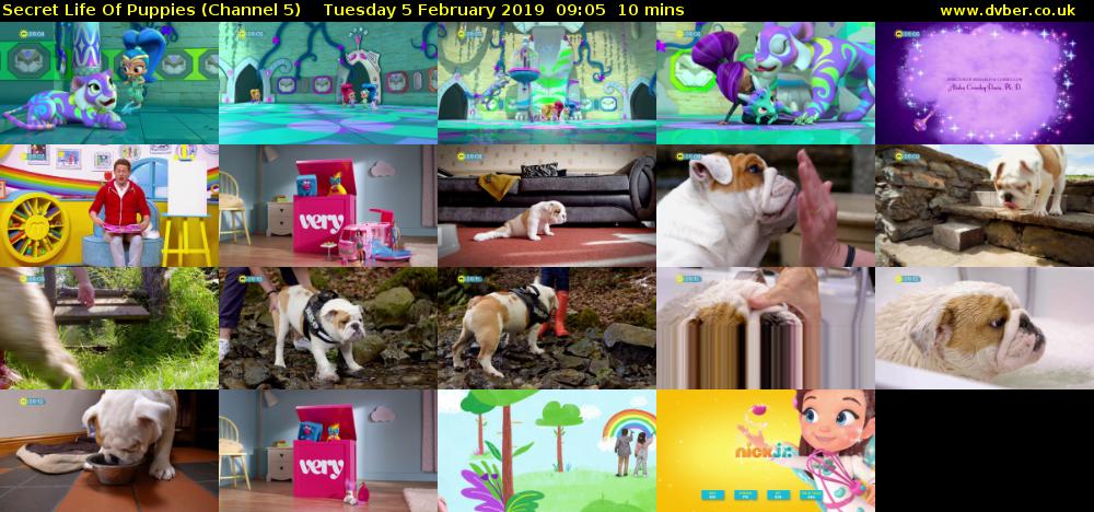 Secret Life Of Puppies (Channel 5) Tuesday 5 February 2019 09:05 - 09:15