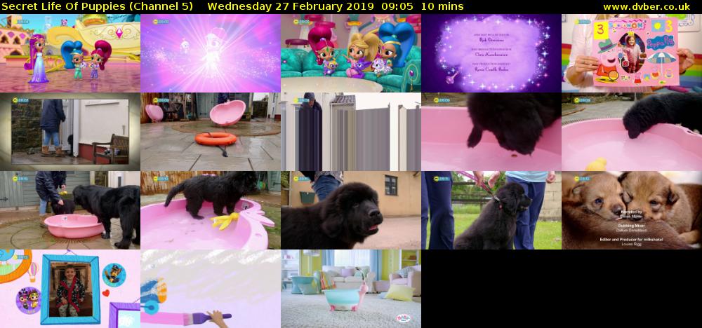 Secret Life Of Puppies (Channel 5) Wednesday 27 February 2019 09:05 - 09:15